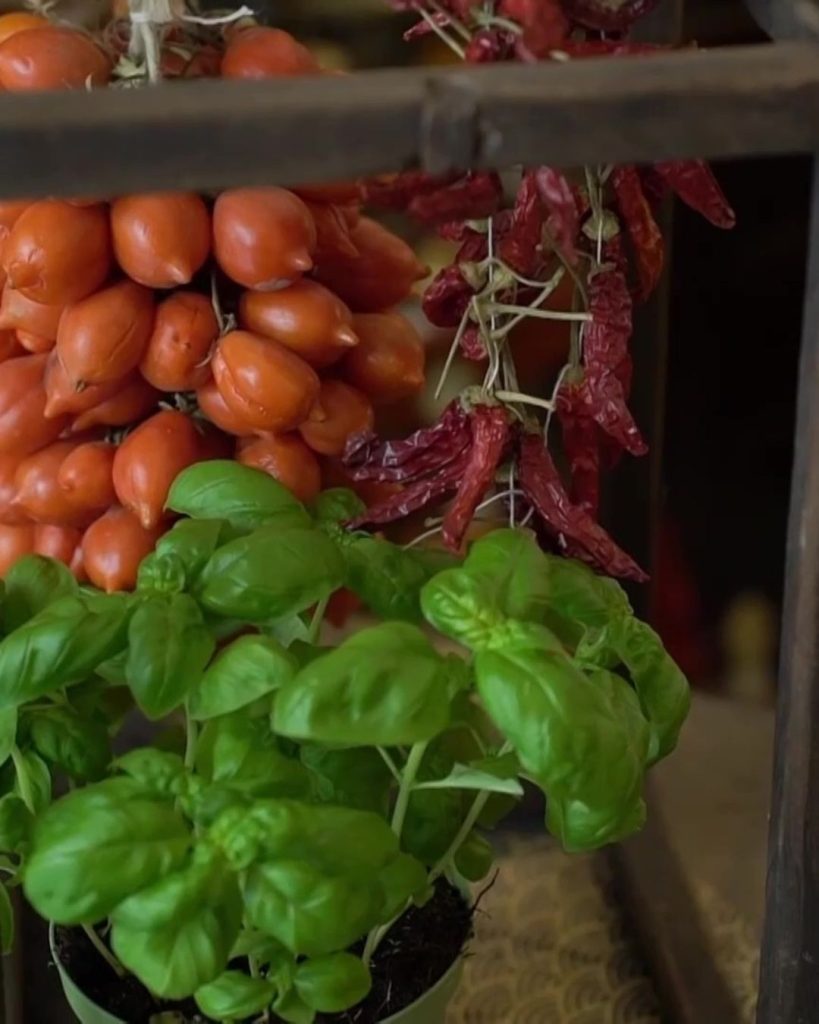 Pomodoro Piennolo
